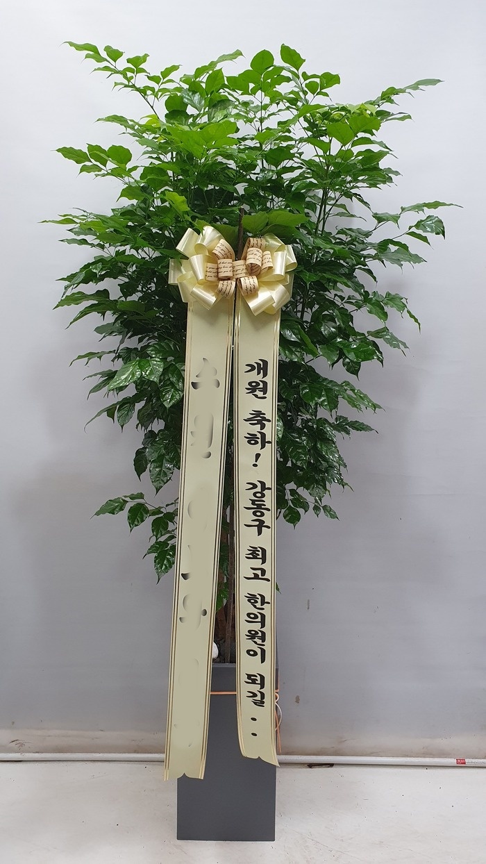 유정 Flower 이미지