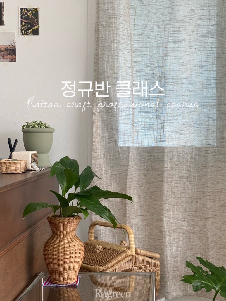 로그린 이미지