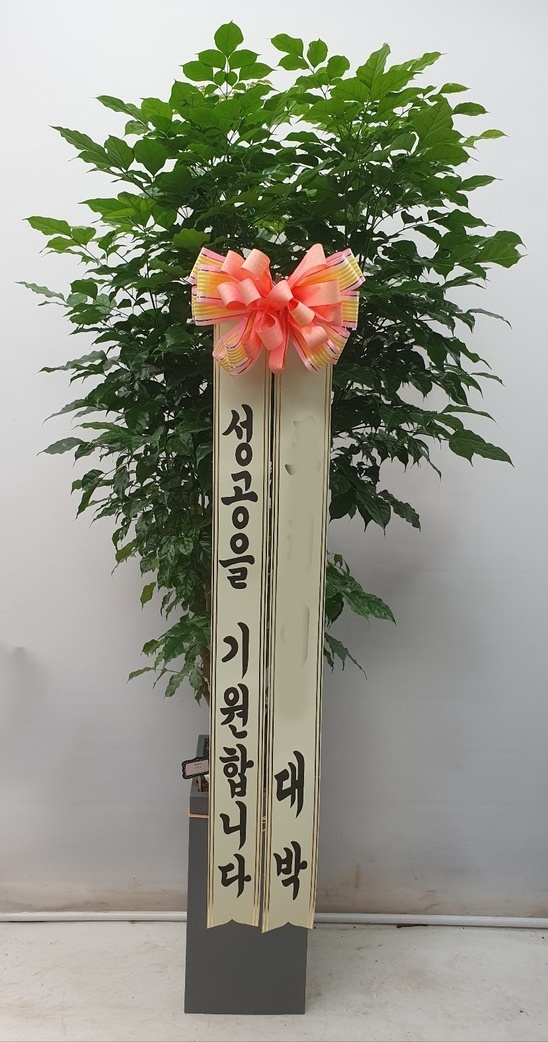 유정 Flower 이미지