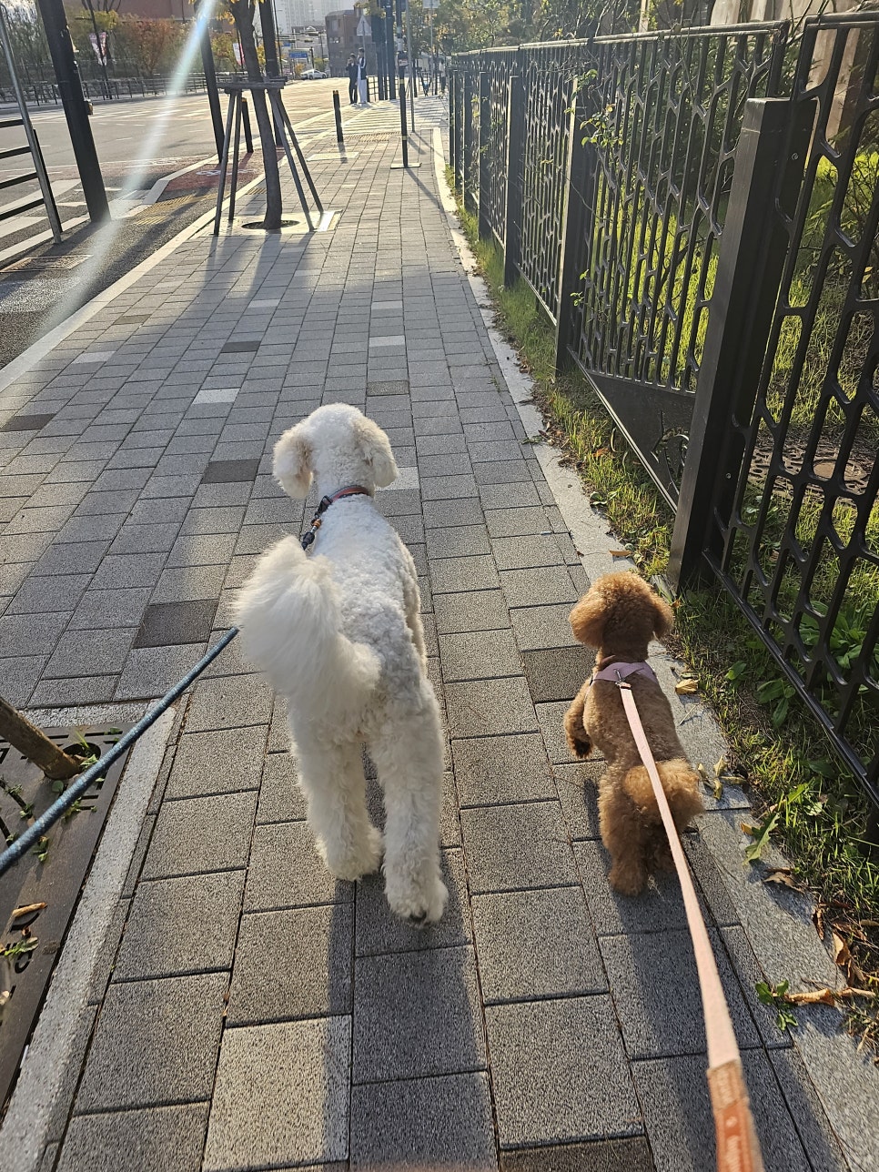 마율커피 이미지