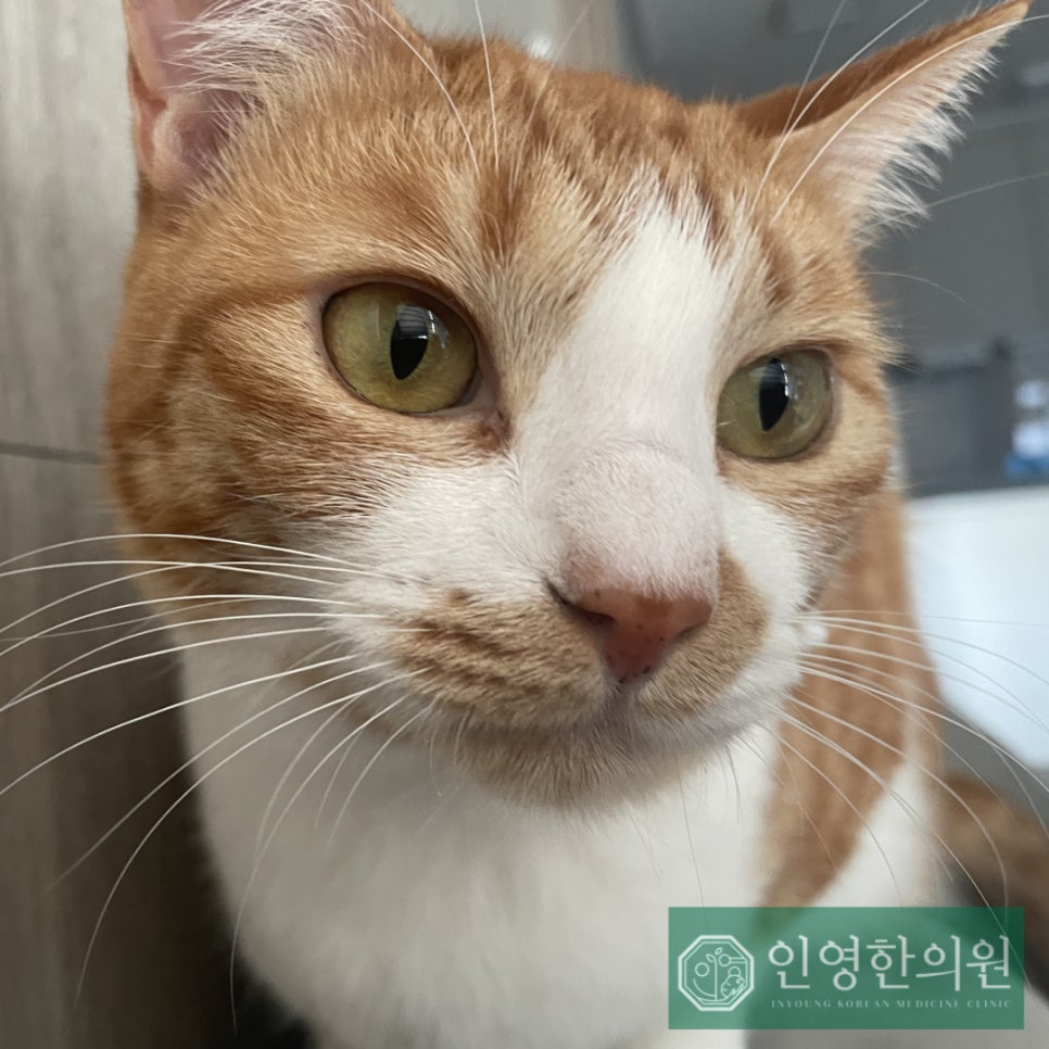 인영한의원 이미지