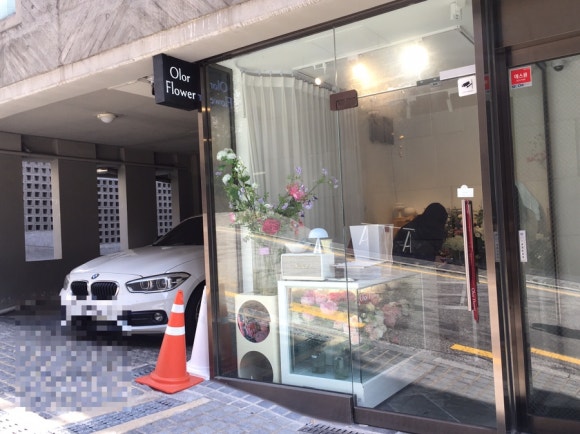 올로르플라워 Olor Flower 이미지
