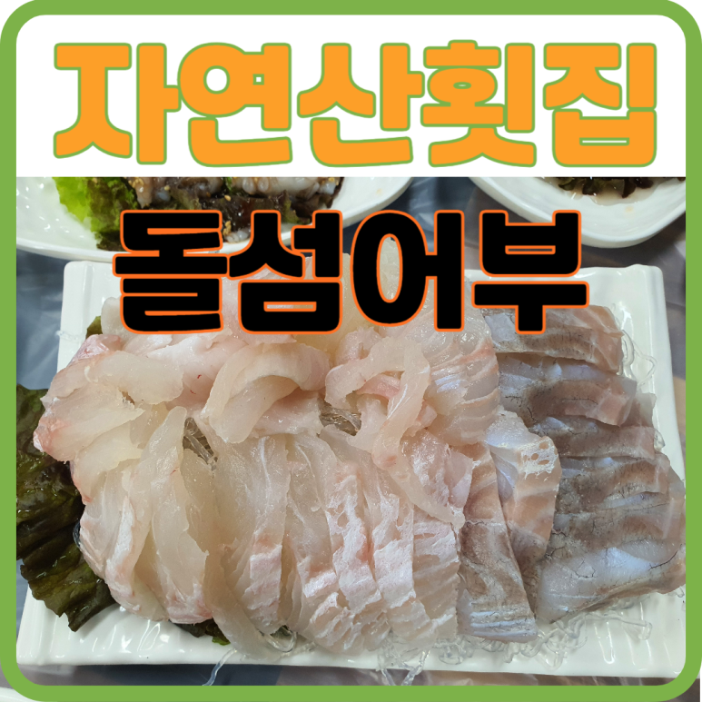 돌섬어부 이미지