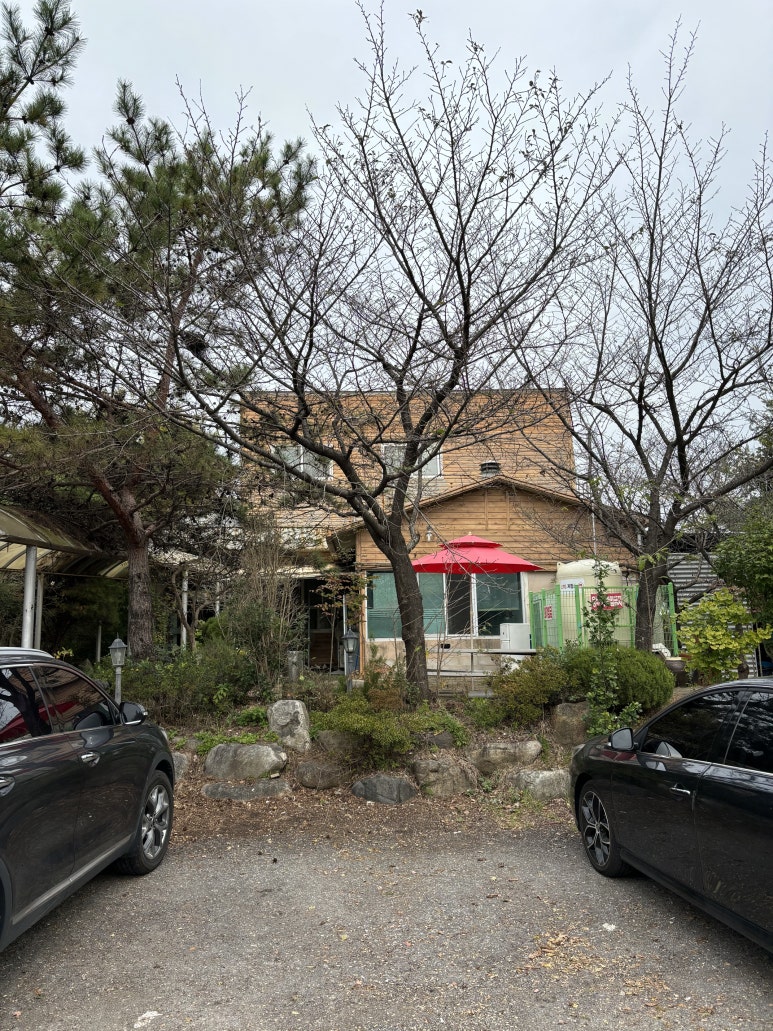 오색진두부 이미지