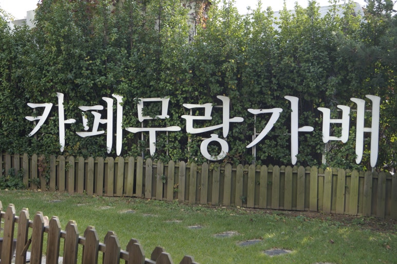 무랑가배 이미지