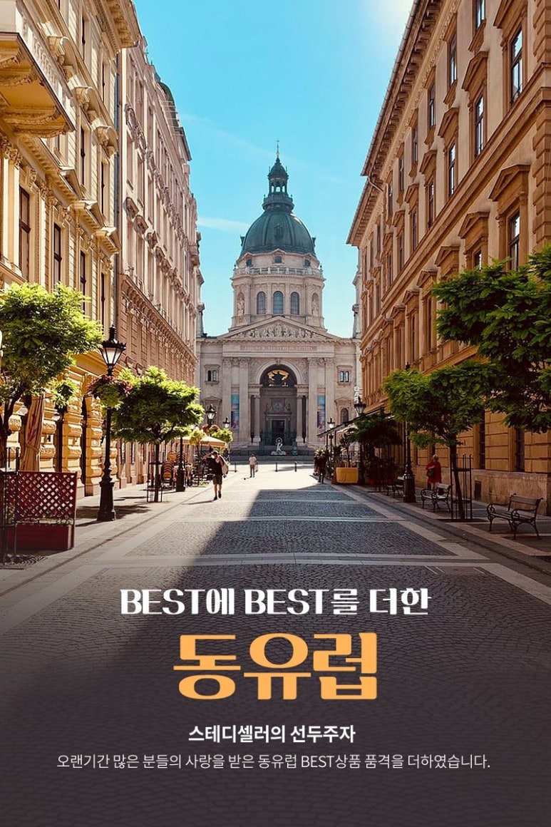 엠에스투어 이미지