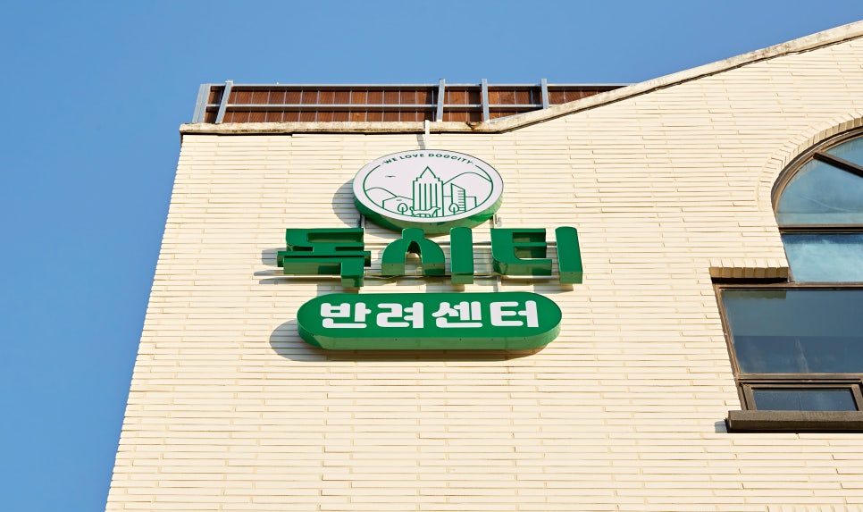 시티독 이미지