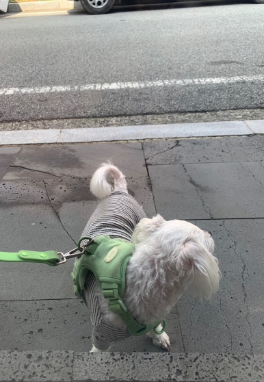 재리커피 이미지