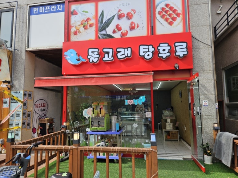 돌고래 탕후루 이미지