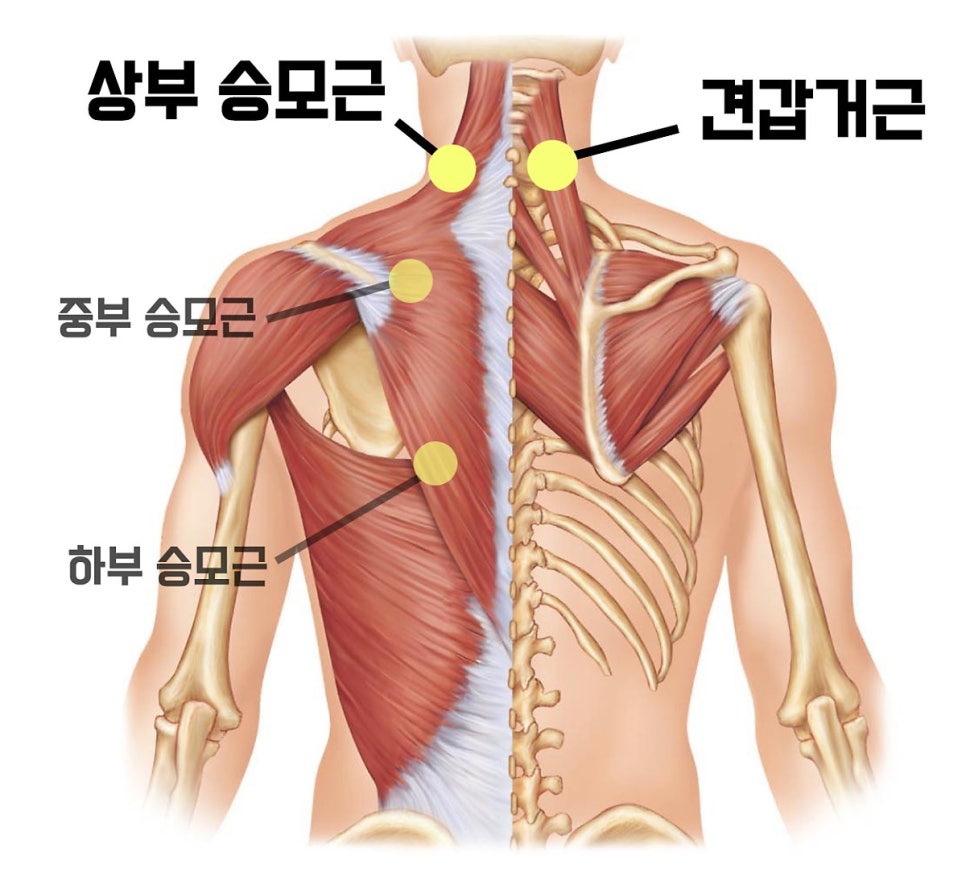 다함케어 이미지