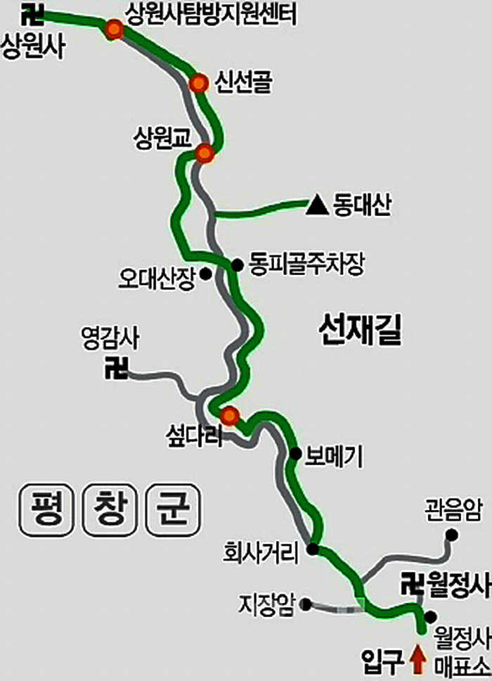숲향여행사 이미지