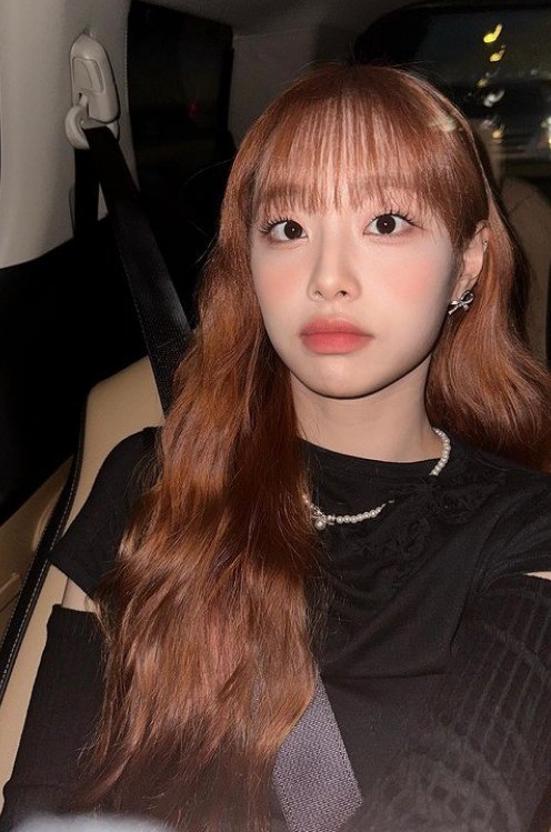 감성스타 이미지