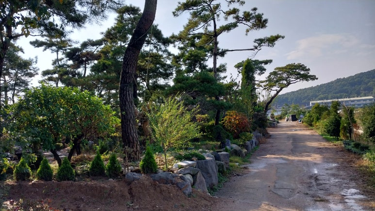 청원조경관리 이미지