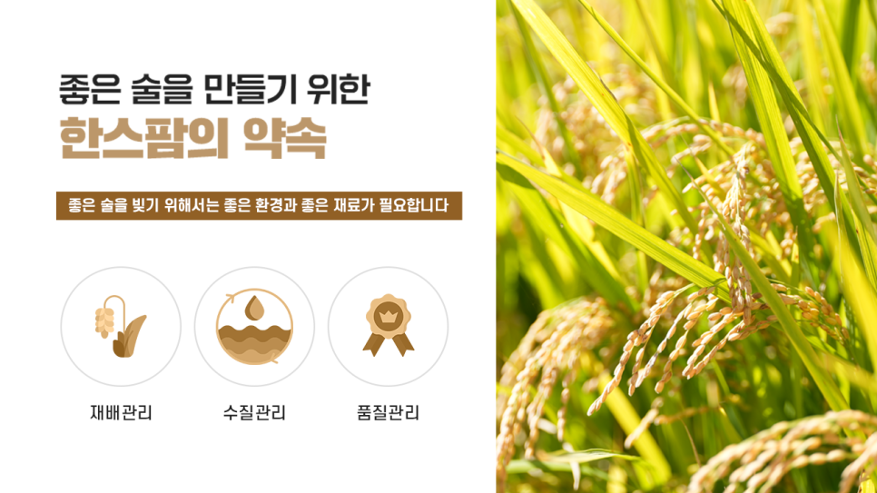 농업회사 법인 한스 주식회사 이미지