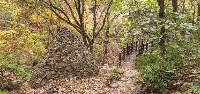테드다이브 이미지