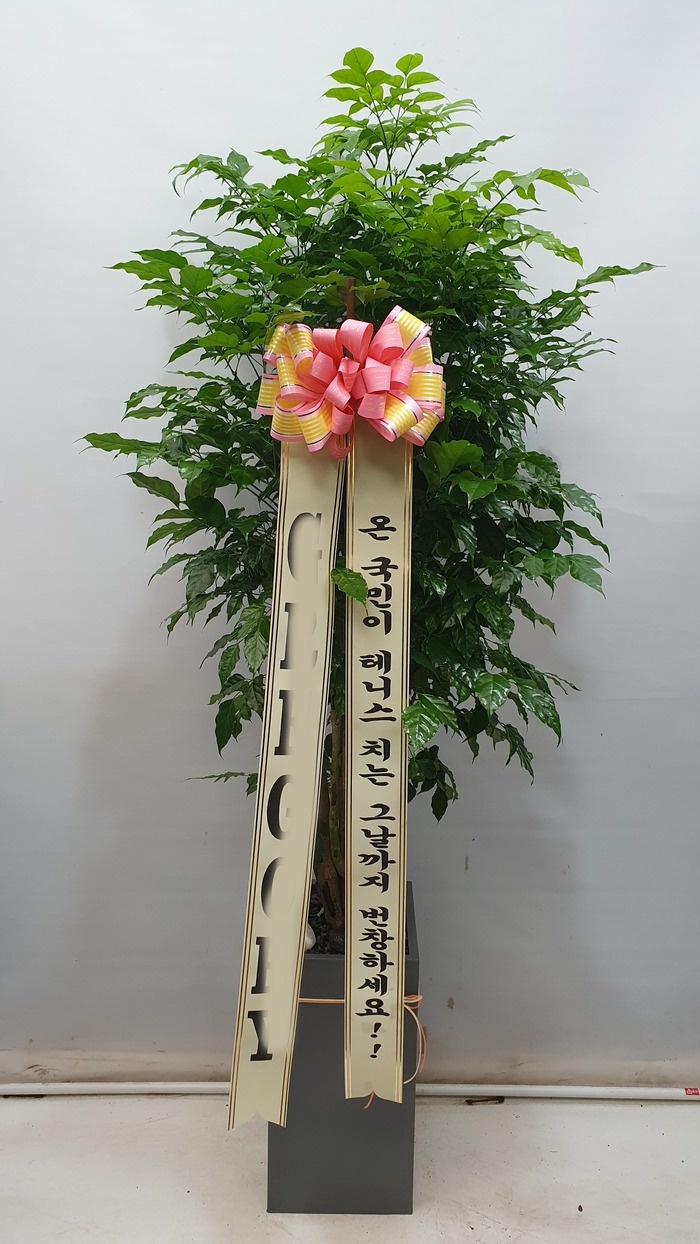 유정 Flower 이미지