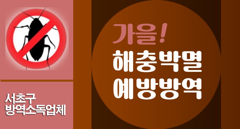 큰솔곱창 이미지