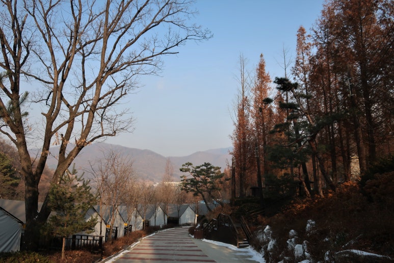 서천해양캠핑장 이미지
