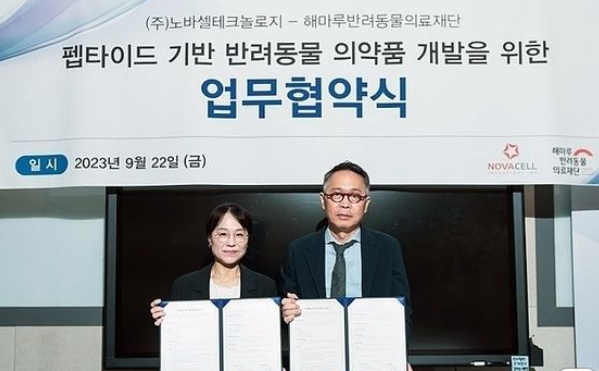 주식회사 해마루 이미지