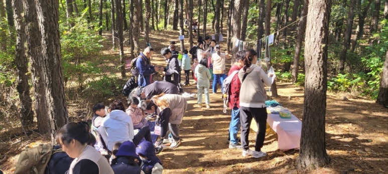 신안초등학교 이미지