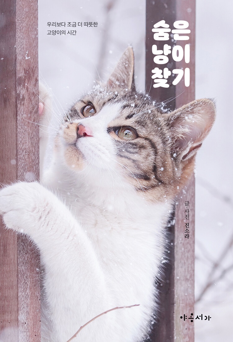 냥이마을 이미지