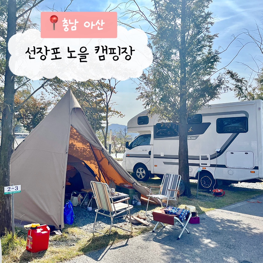 선장포협동조합 이미지