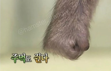 아쎄 이미지