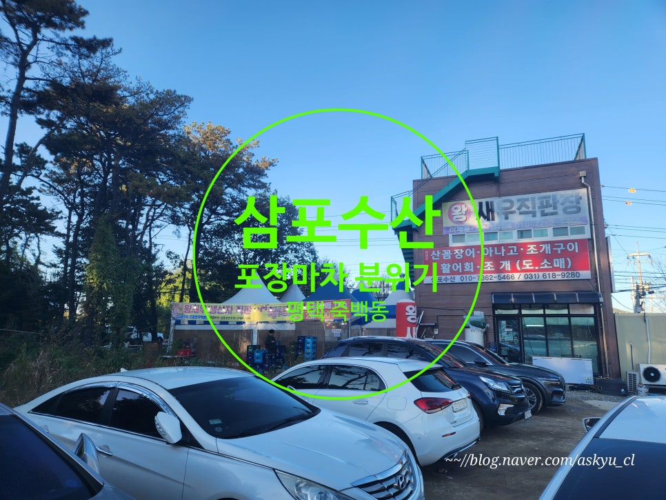 삼포수산식당 이미지