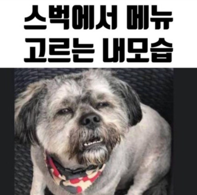 노티드 잠실롯데월드몰 이미지