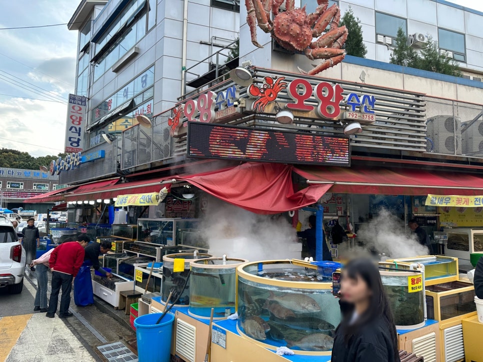 오양식당 이미지
