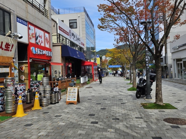 돌고래 탕후루 이미지