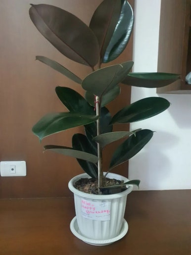 이마켓 이미지