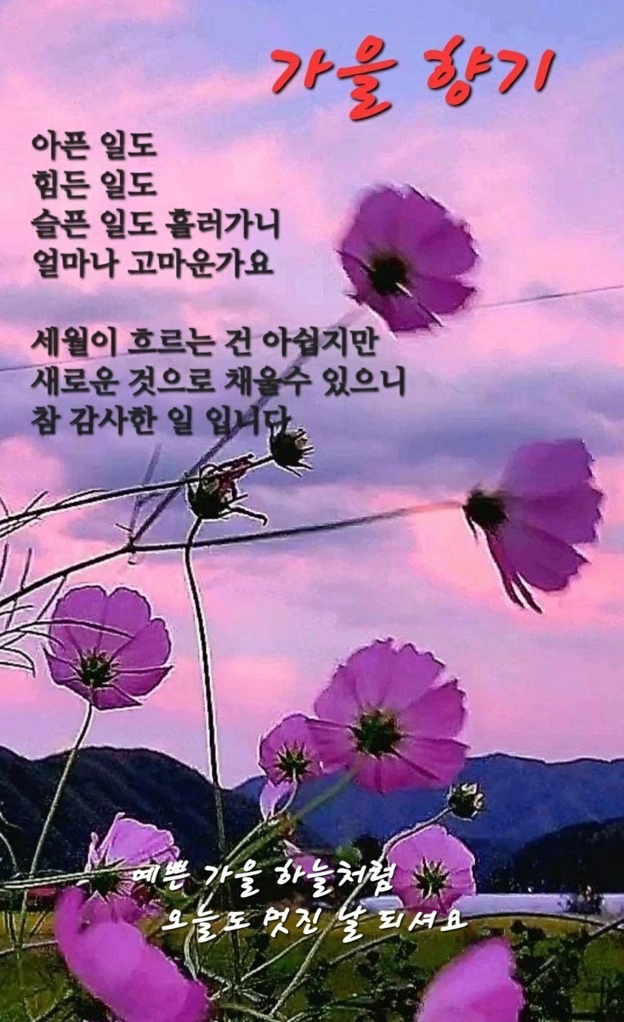 기쁨재활요양원 이미지