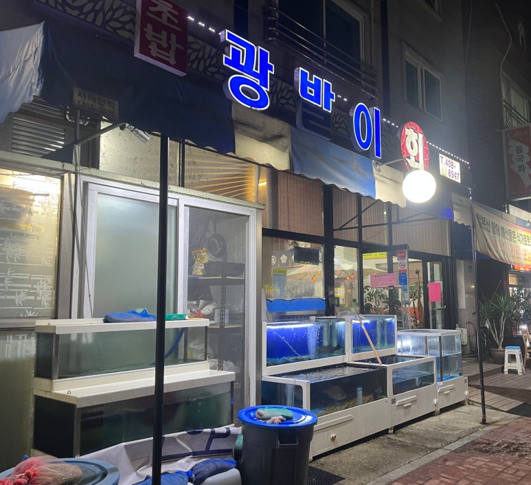 광발이 이미지