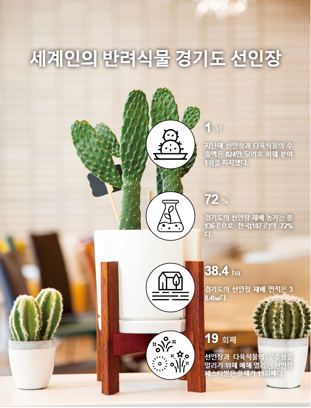명성다육 이미지