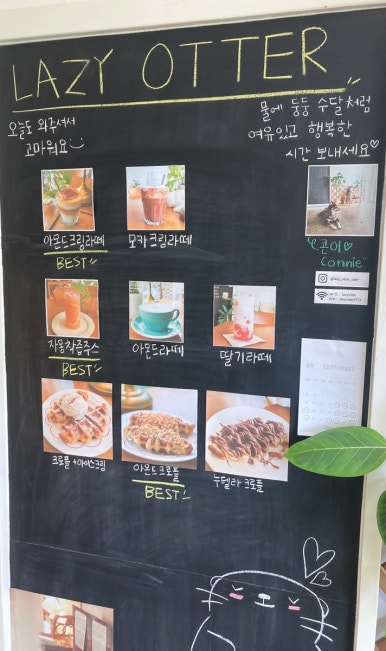 레이지오터 이미지