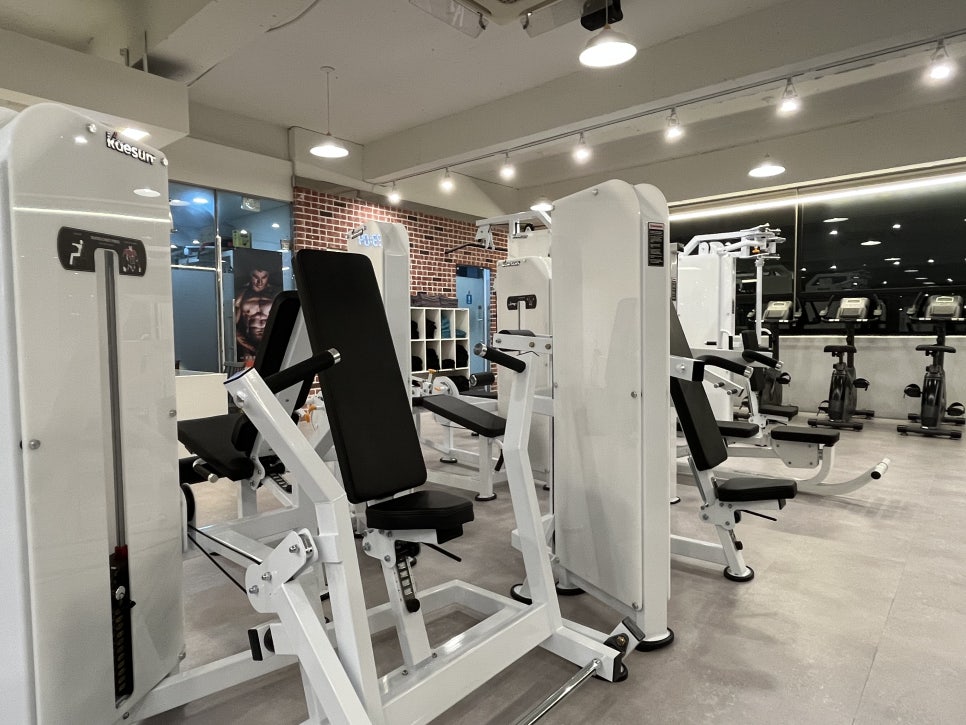 BodyMasterGym 이미지