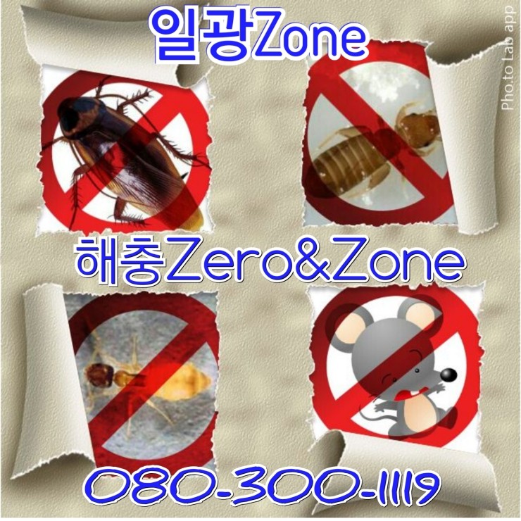 일광ZONE 이미지
