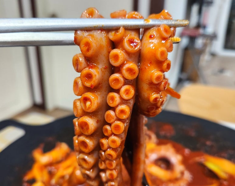 신방통통 낙지 이미지