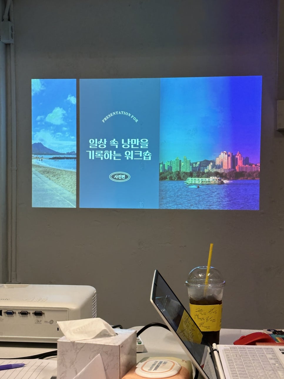 두리수선 이미지