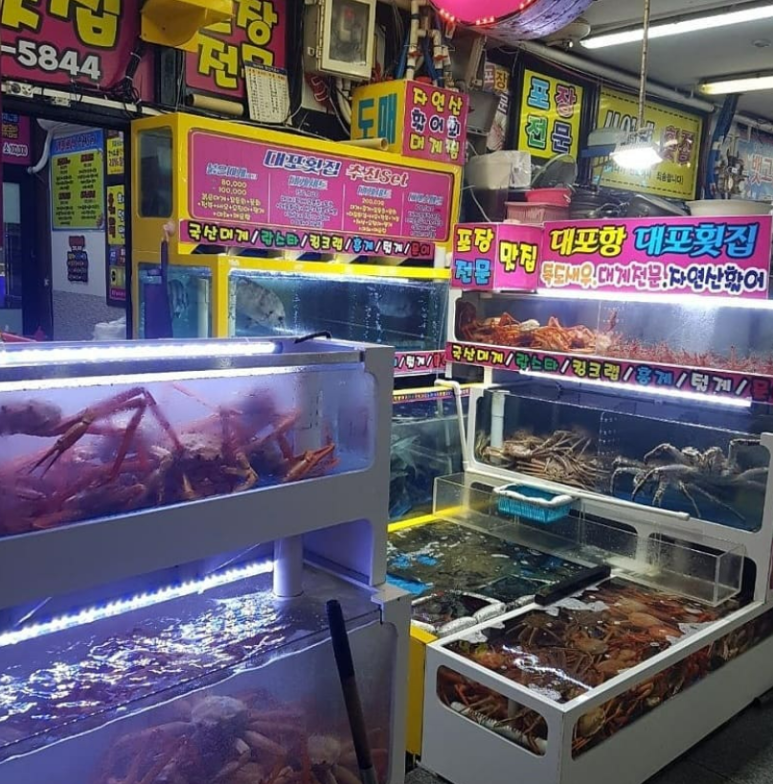 독도횟집 이미지