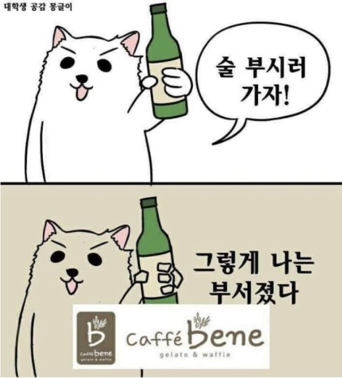 카페청춘드림 이미지