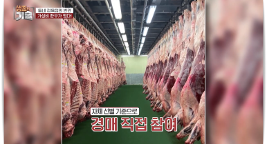 청년정육점 이미지