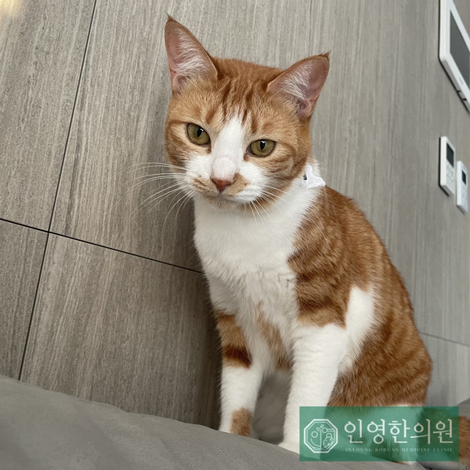 인영한의원 이미지