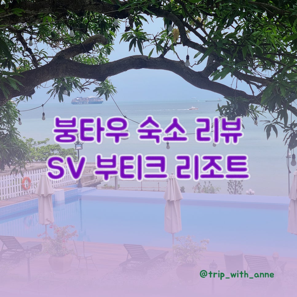 트립위드앤 이미지