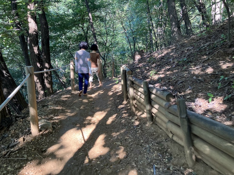 서초구민체육센터 이미지