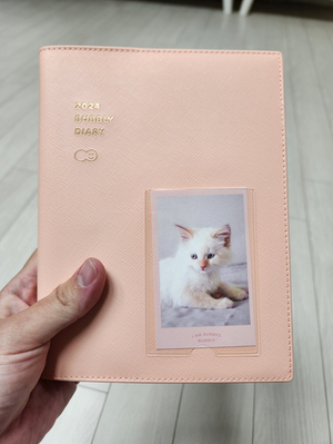 버블리영어 이미지