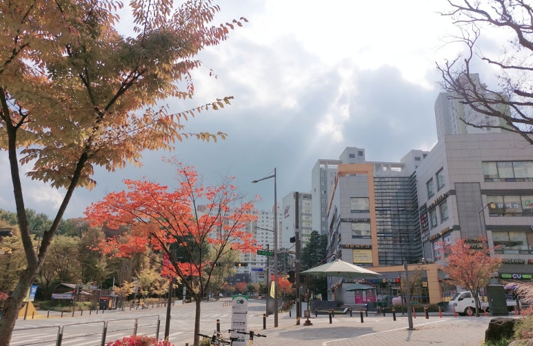 송림이비인후과 이미지