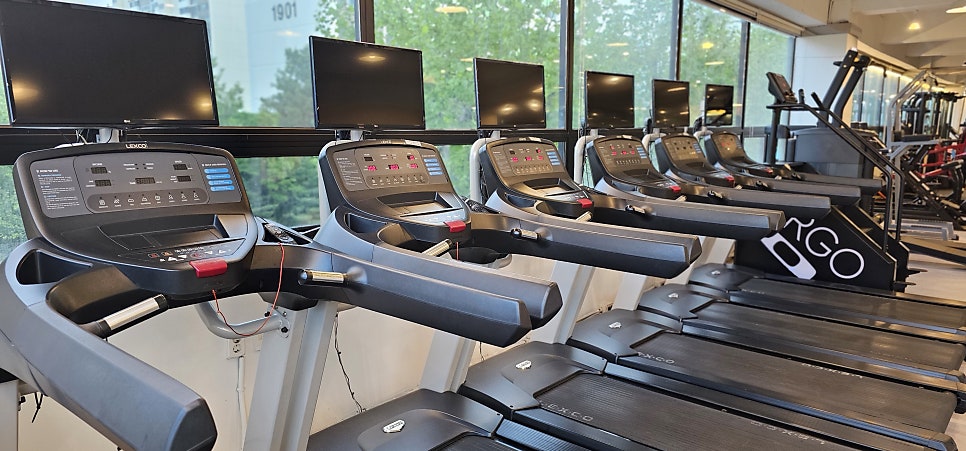 BodyMasterGym 이미지