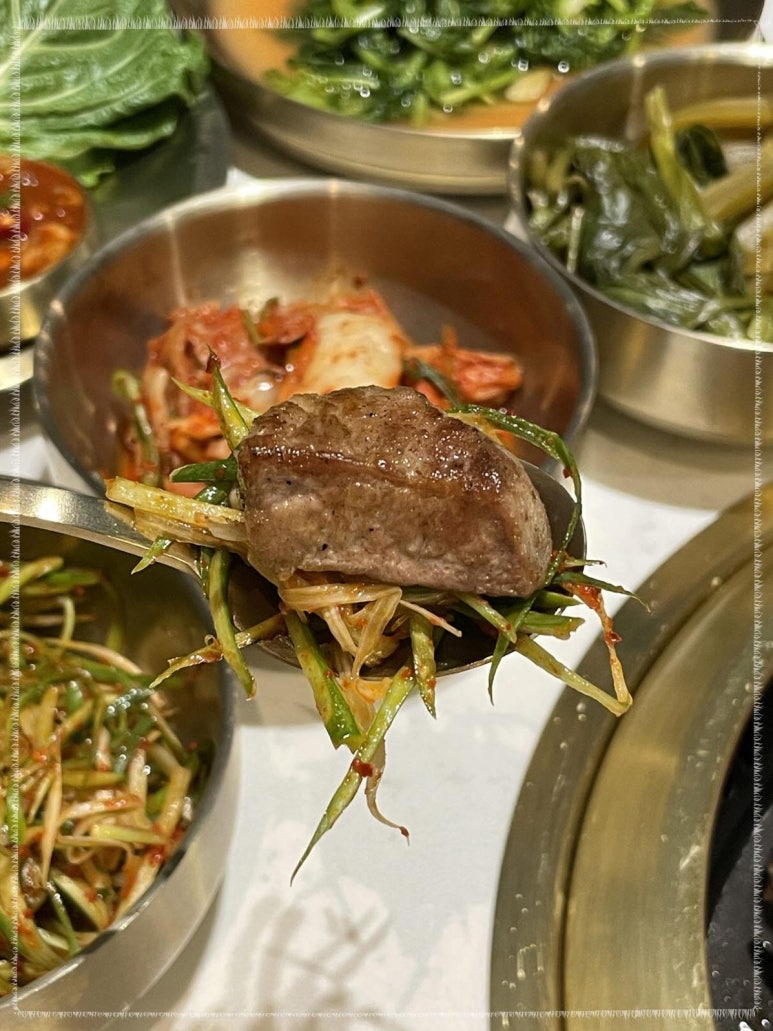 신도세기 이미지